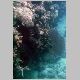 090307_coral04.JPG