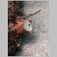 090321_fish01.JPG