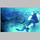 MikeBoatDive_School_o_fish_02.JPG